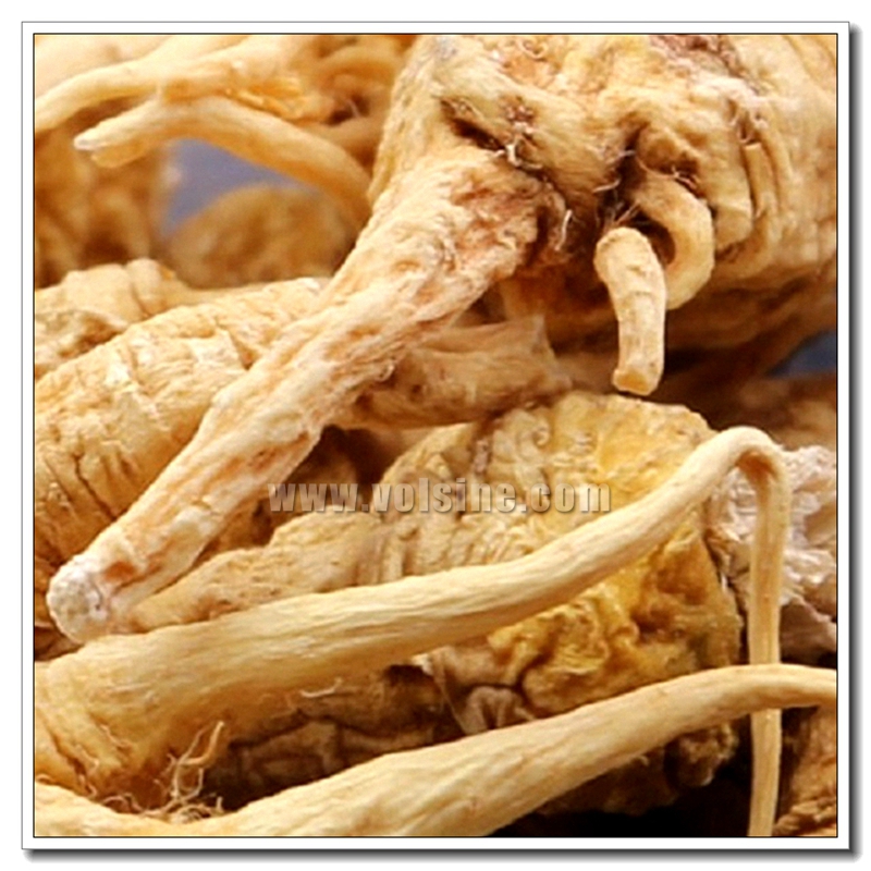 中药材烘干机